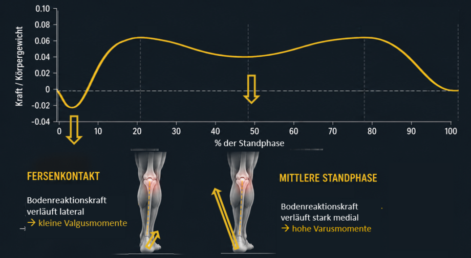 Valgusmomente um das Kniegelenk beim Gehen